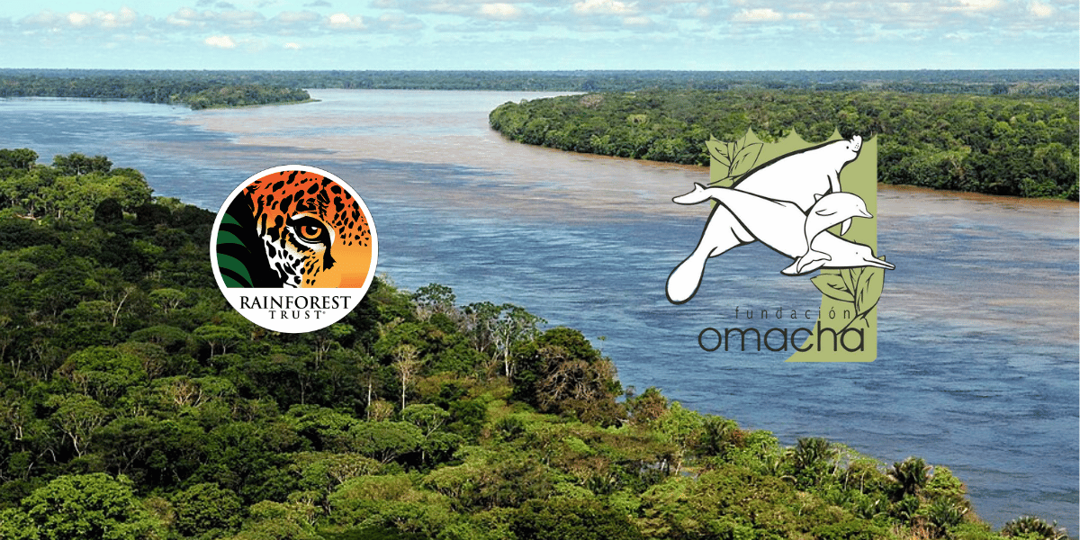 Amazon River w omacha and Rainforest Trust Logos