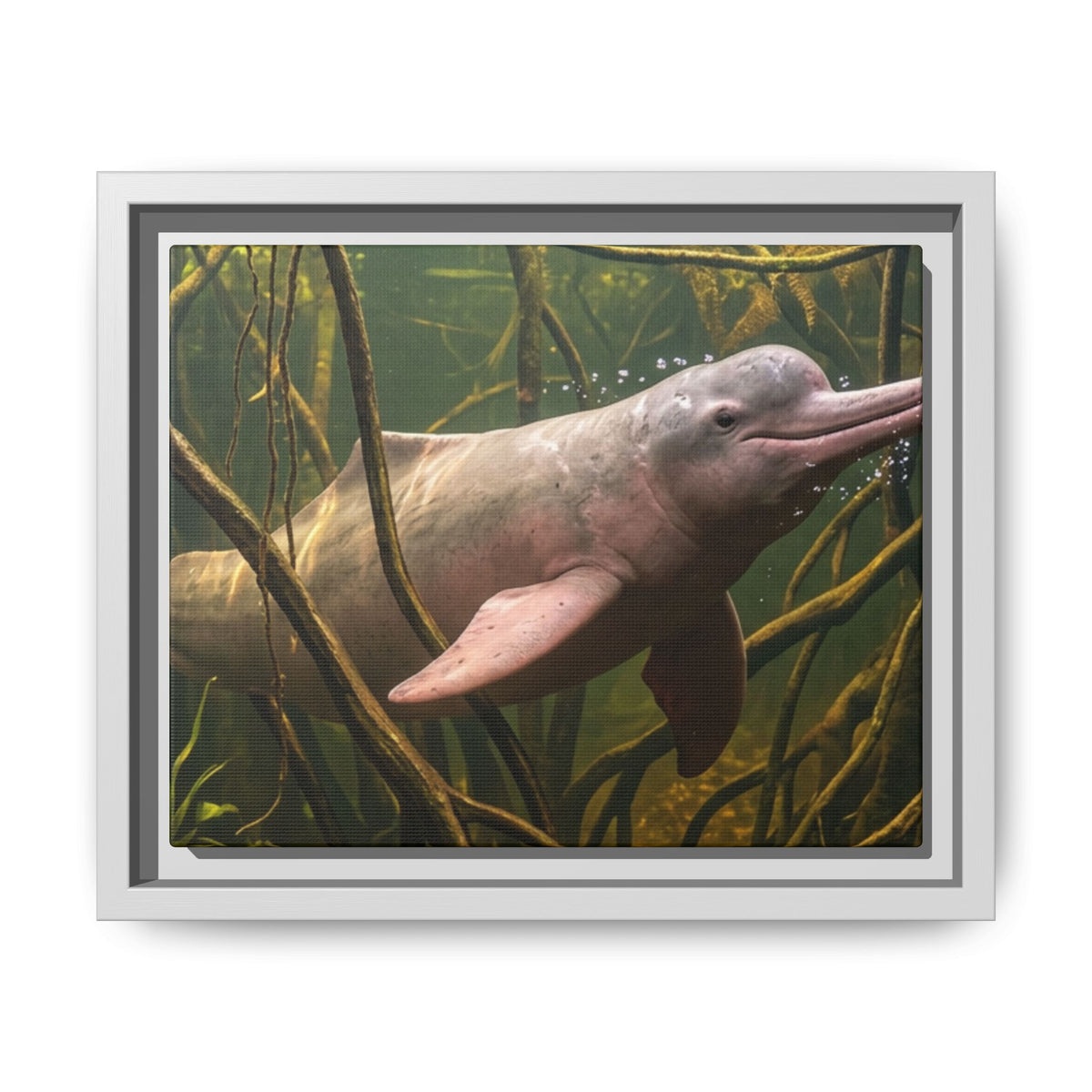 Pink River Dolphin Underwater Scene Framed Matte Canvas