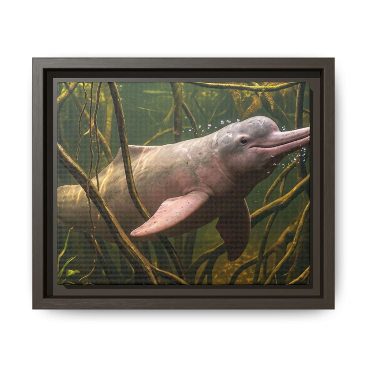 Pink River Dolphin Underwater Scene Framed Matte Canvas