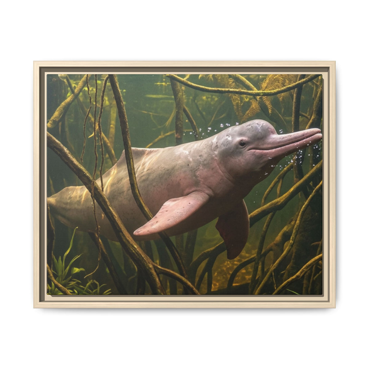 Pink River Dolphin Underwater Scene Framed Matte Canvas