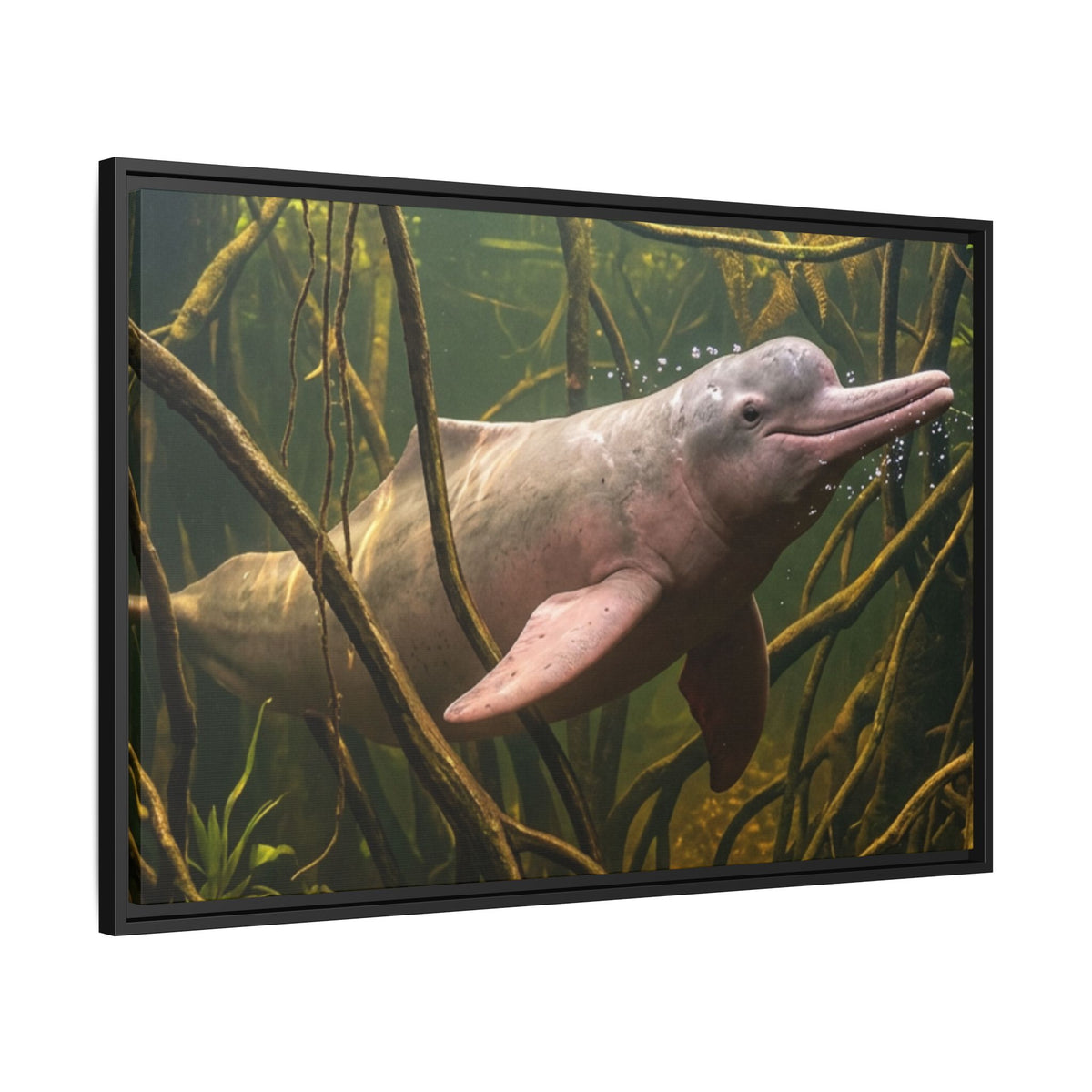 Pink River Dolphin Underwater Scene Framed Matte Canvas