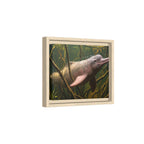Pink River Dolphin Underwater Scene Framed Matte Canvas