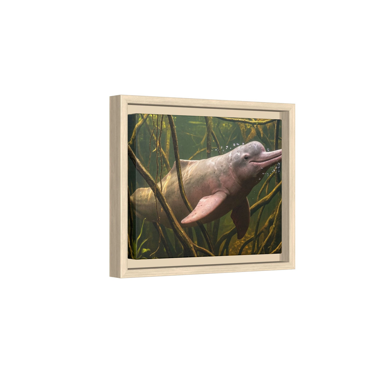 Pink River Dolphin Underwater Scene Framed Matte Canvas
