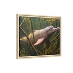 Pink River Dolphin Underwater Scene Framed Matte Canvas