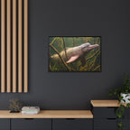 Pink River Dolphin Underwater Scene Framed Matte Canvas
