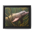 Pink River Dolphin Underwater Scene Framed Matte Canvas