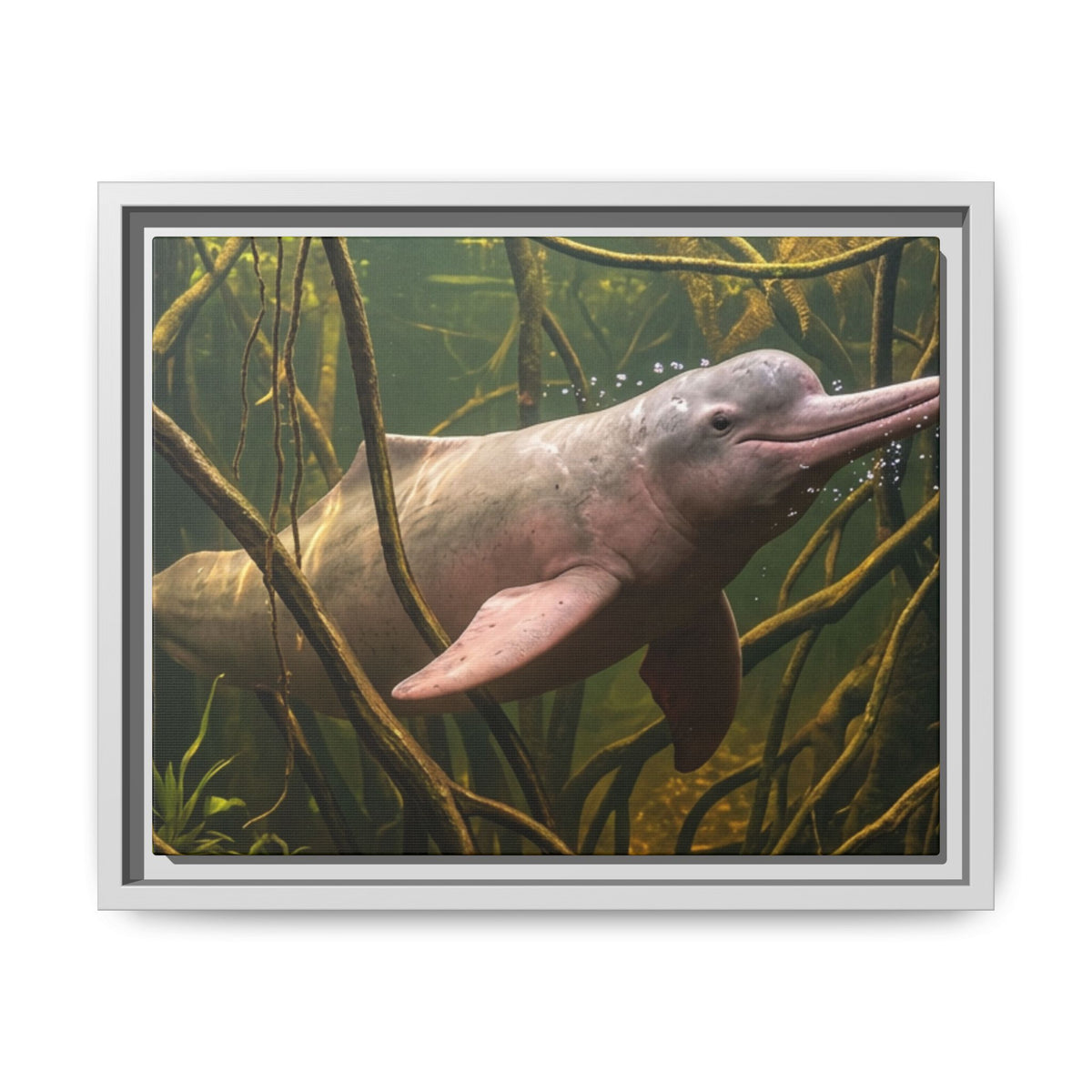 Pink River Dolphin Underwater Scene Framed Matte Canvas