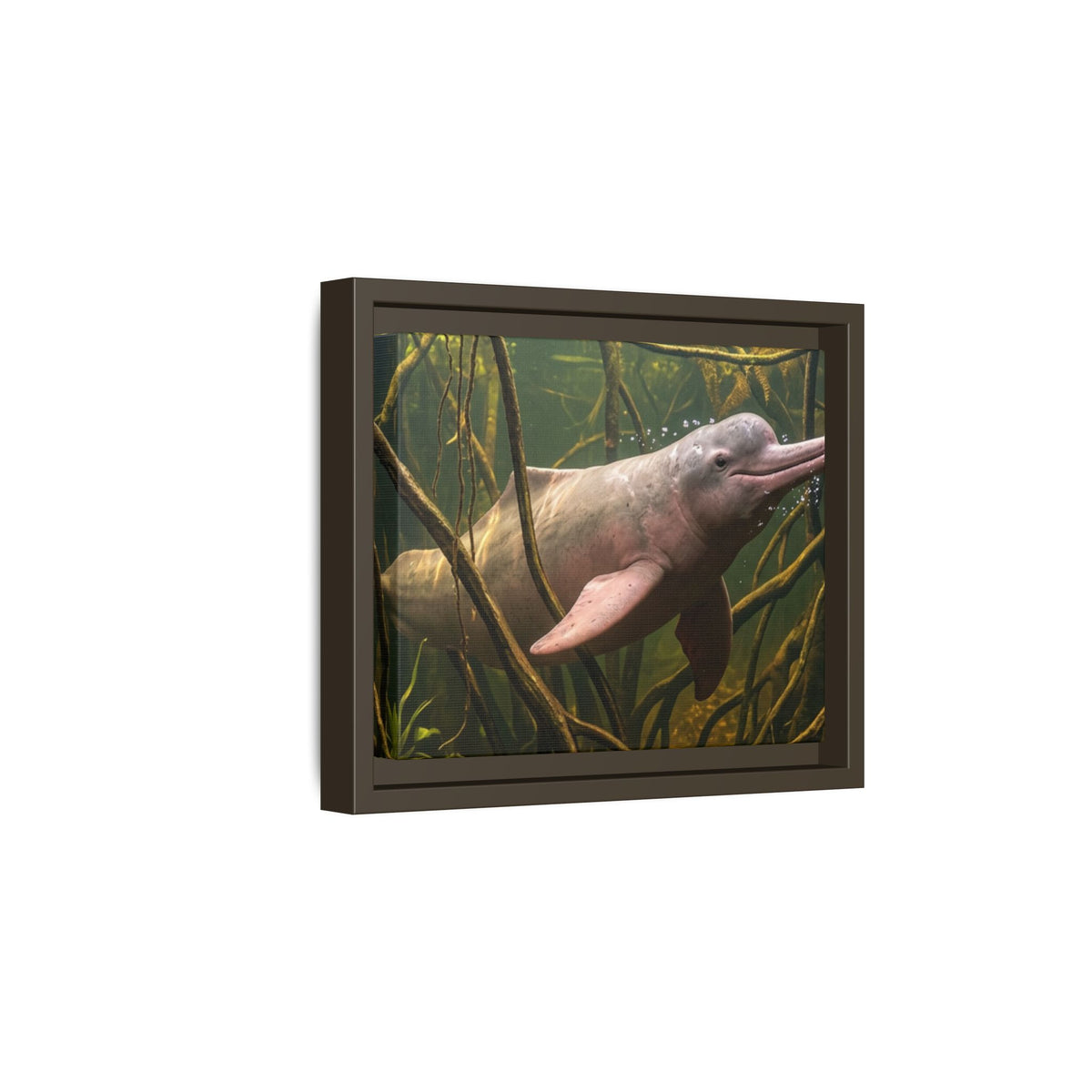 Pink River Dolphin Underwater Scene Framed Matte Canvas