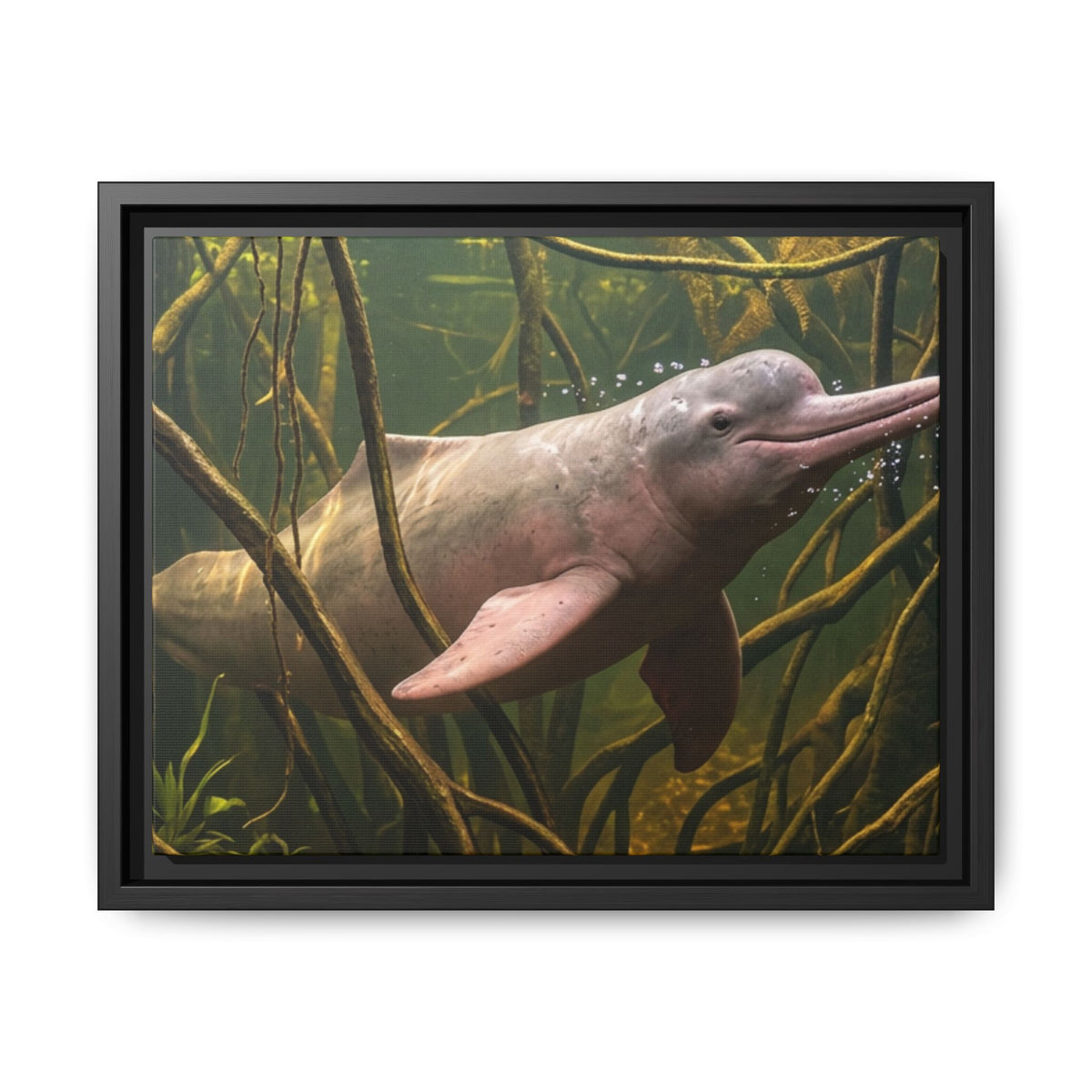 Pink River Dolphin Underwater Scene Framed Matte Canvas