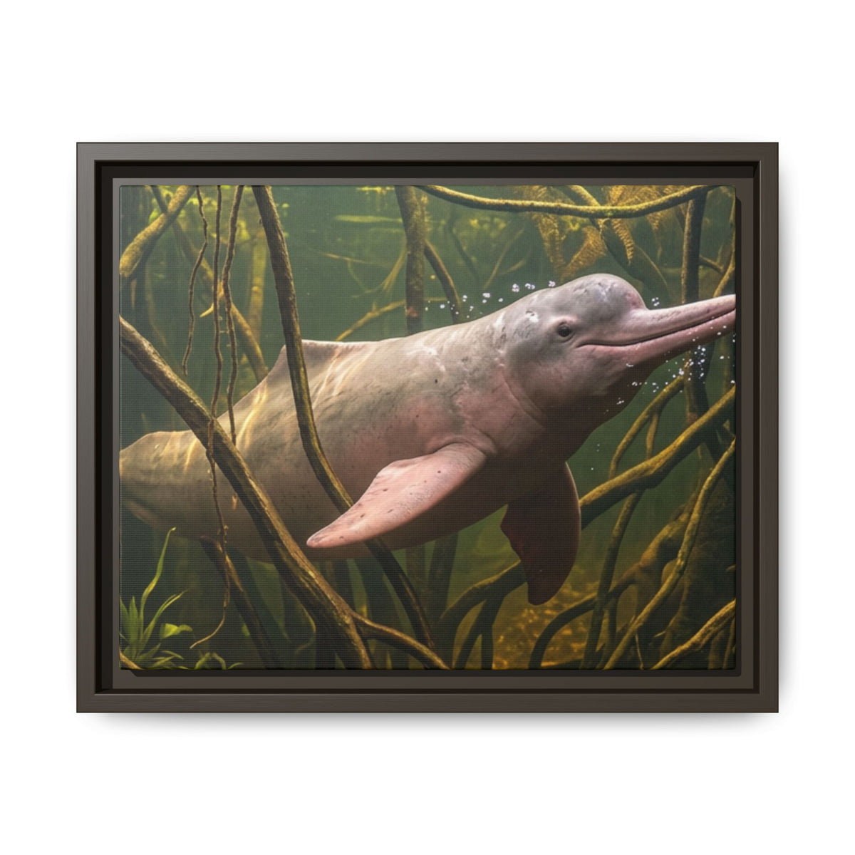 Pink River Dolphin Underwater Scene Framed Matte Canvas