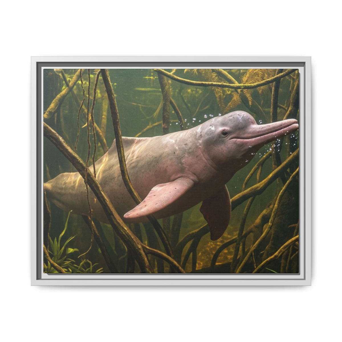 Pink River Dolphin Underwater Scene Framed Matte Canvas