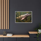 Pink River Dolphin Underwater Scene Framed Matte Canvas