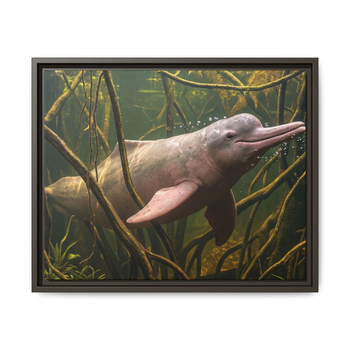 Pink River Dolphin Underwater Scene Framed Matte Canvas