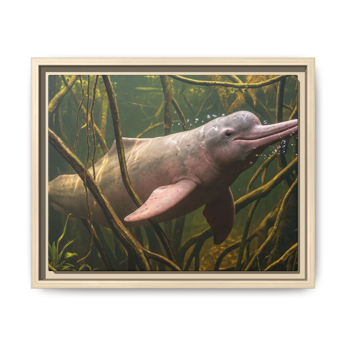 Pink River Dolphin Underwater Scene Framed Matte Canvas