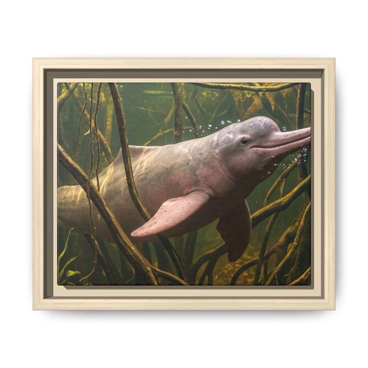 Pink River Dolphin Underwater Scene Framed Matte Canvas