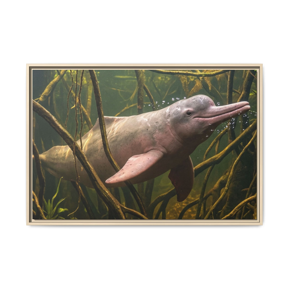 Pink River Dolphin Underwater Scene Framed Matte Canvas