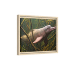 Pink River Dolphin Underwater Scene Framed Matte Canvas