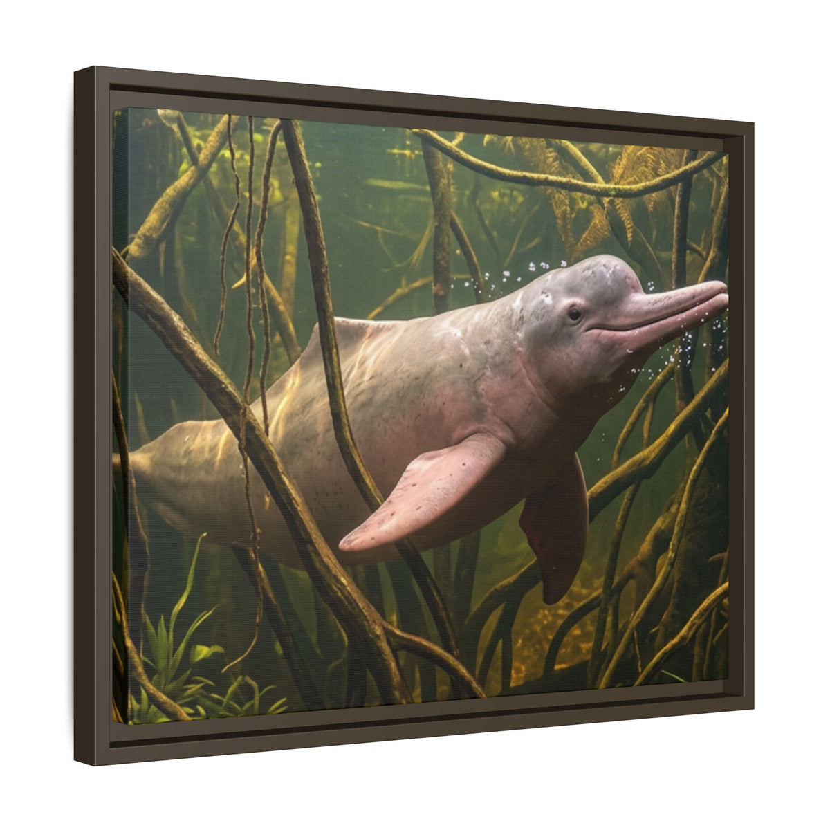 Pink River Dolphin Underwater Scene Framed Matte Canvas
